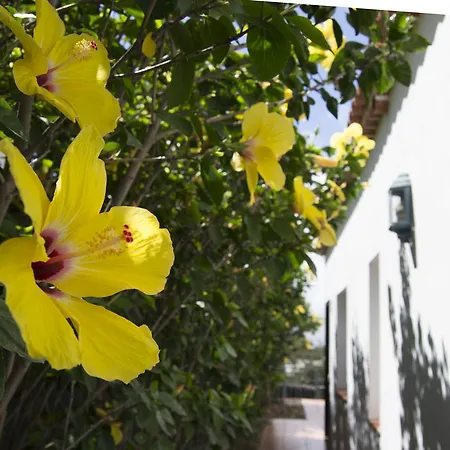 Dulce Valle And Lägenhet *