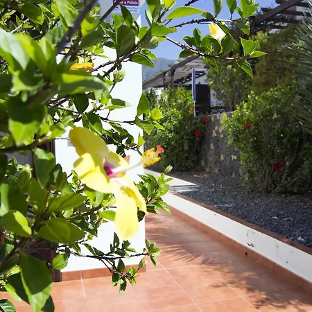 Dulce Valle And Lägenhet