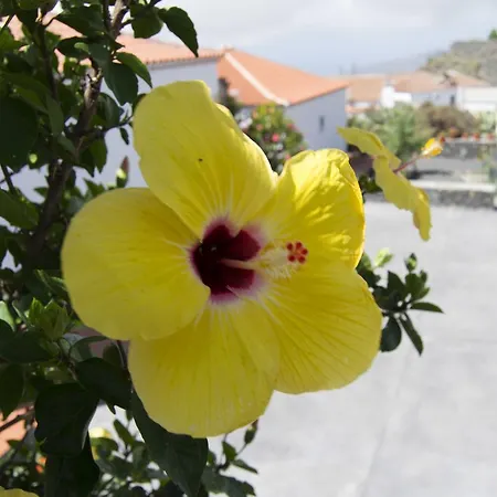 Dulce Valle Villas&spa *